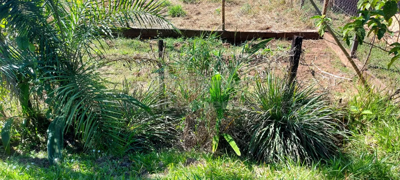 Comprar Rural / Chácara em São José do Rio Preto R$ 900.000,00 - Foto 42