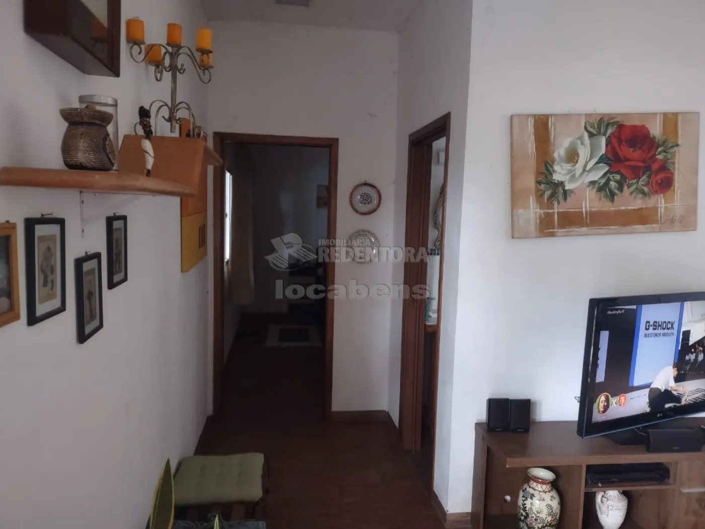 Comprar Rural / Chácara em Cedral R$ 550.000,00 - Foto 5