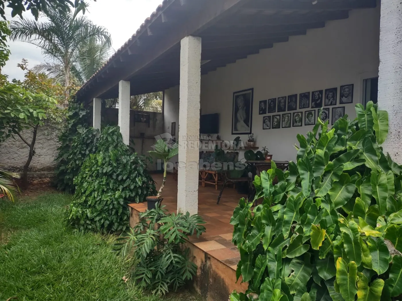 Comprar Rural / Chácara em Cedral R$ 550.000,00 - Foto 13