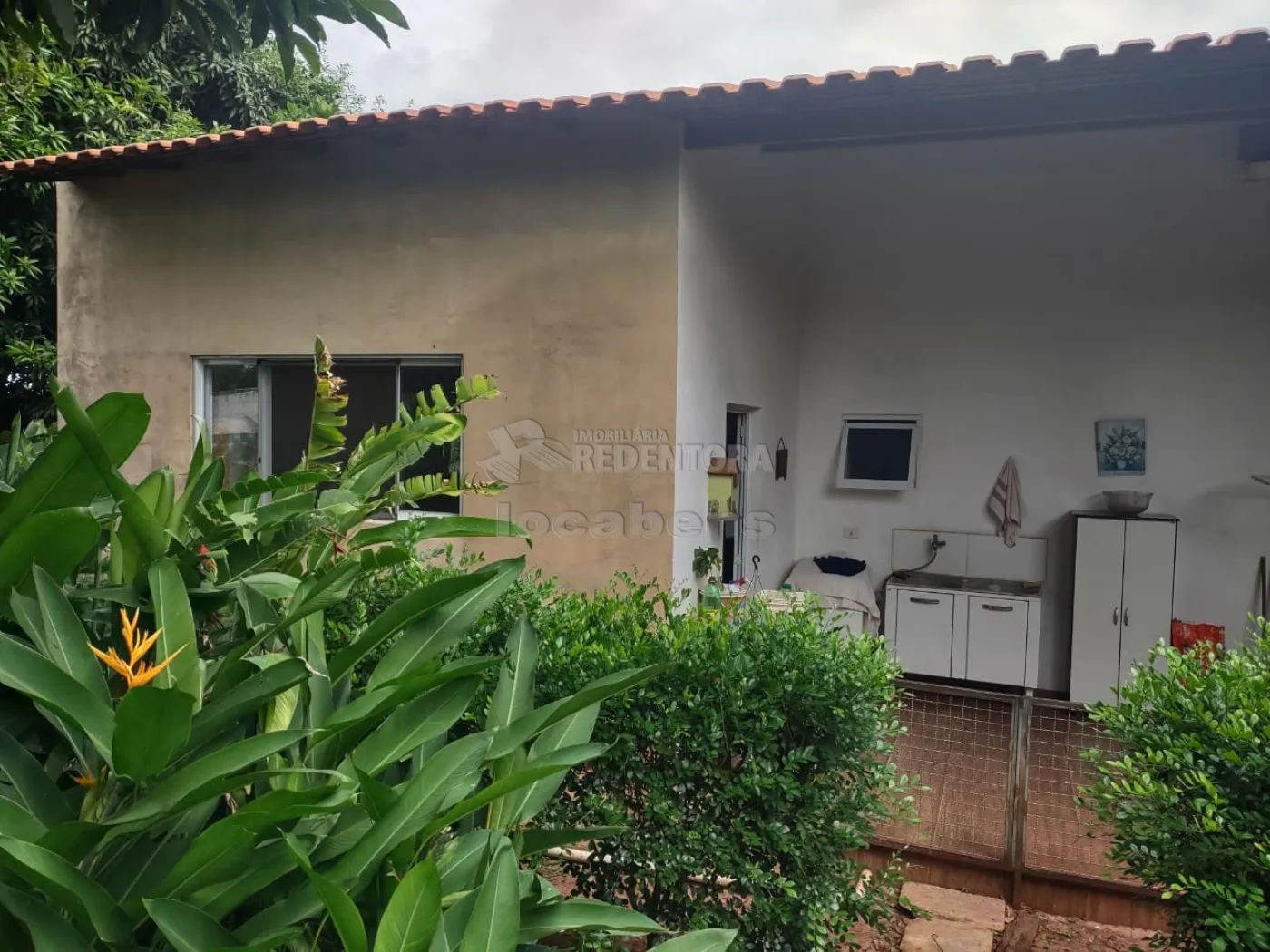 Comprar Rural / Chácara em Cedral R$ 550.000,00 - Foto 14