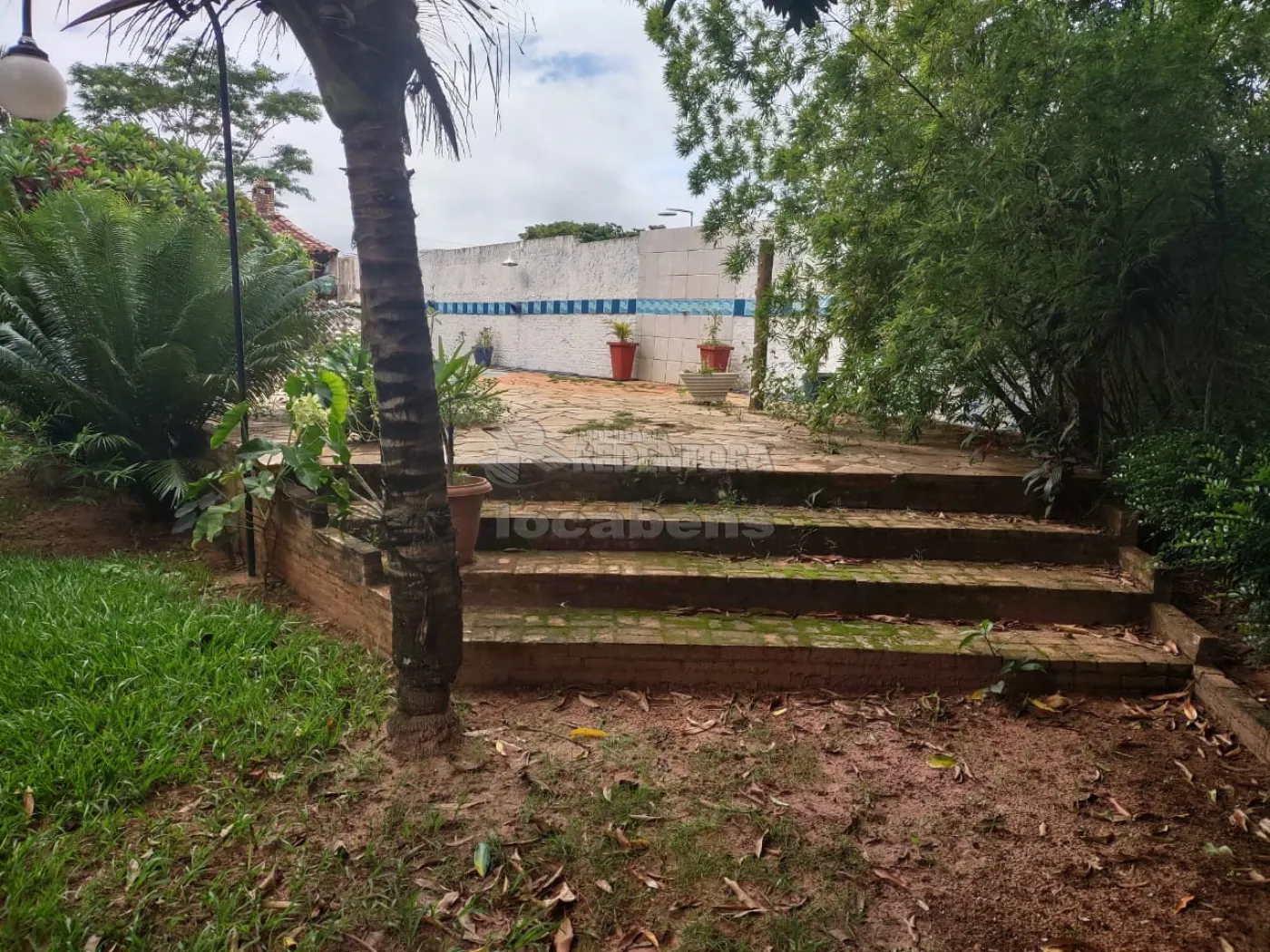 Comprar Rural / Chácara em Cedral R$ 550.000,00 - Foto 17