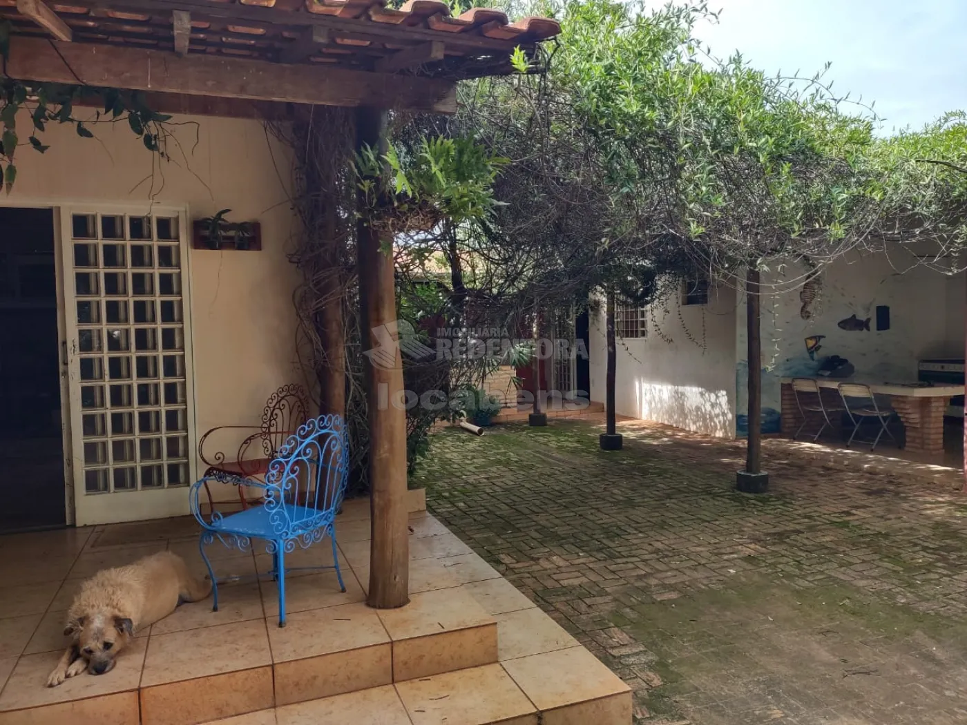 Comprar Rural / Chácara em Cedral R$ 550.000,00 - Foto 57