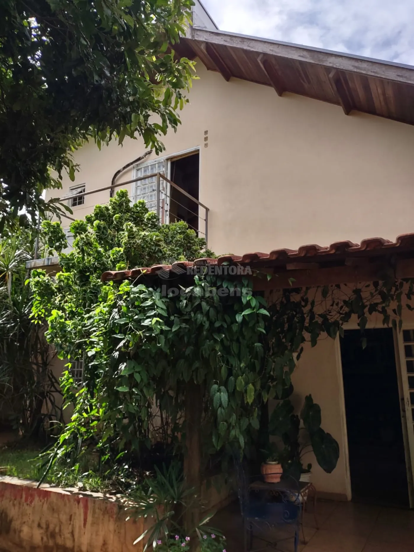 Comprar Rural / Chácara em Cedral R$ 550.000,00 - Foto 59