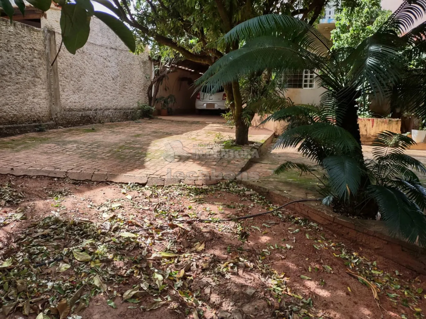 Comprar Rural / Chácara em Cedral R$ 550.000,00 - Foto 62