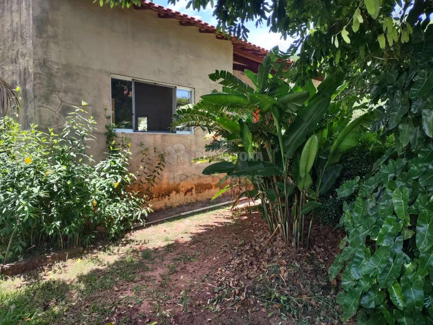 Comprar Rural / Chácara em Cedral R$ 550.000,00 - Foto 81