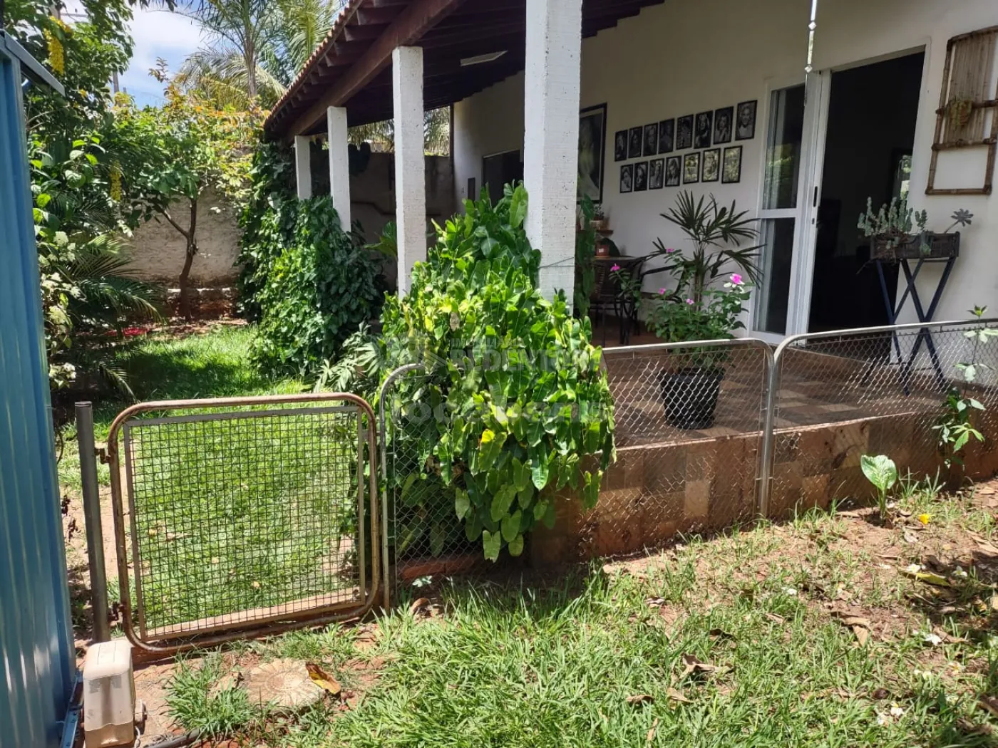 Comprar Rural / Chácara em Cedral R$ 550.000,00 - Foto 90