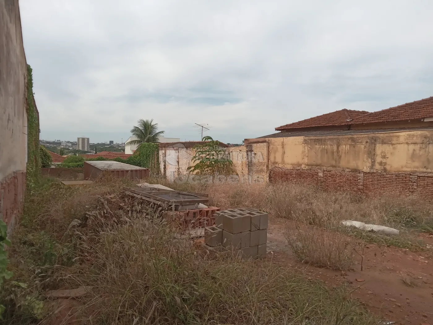 Comprar Terreno / Padrão em São José do Rio Preto R$ 700.000,00 - Foto 2