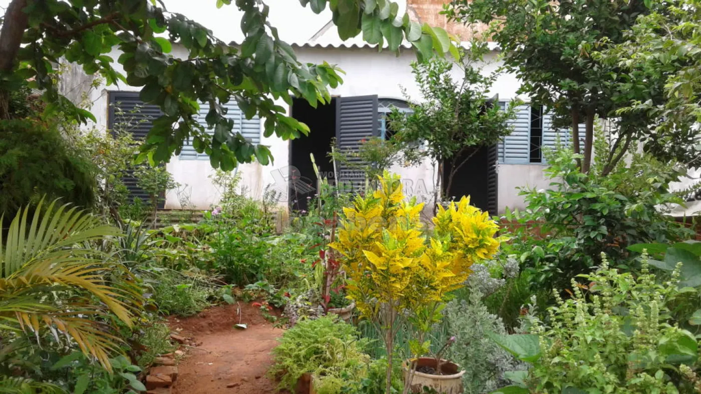 Alugar Casa / Padrão em São José do Rio Preto R$ 1.000,00 - Foto 7