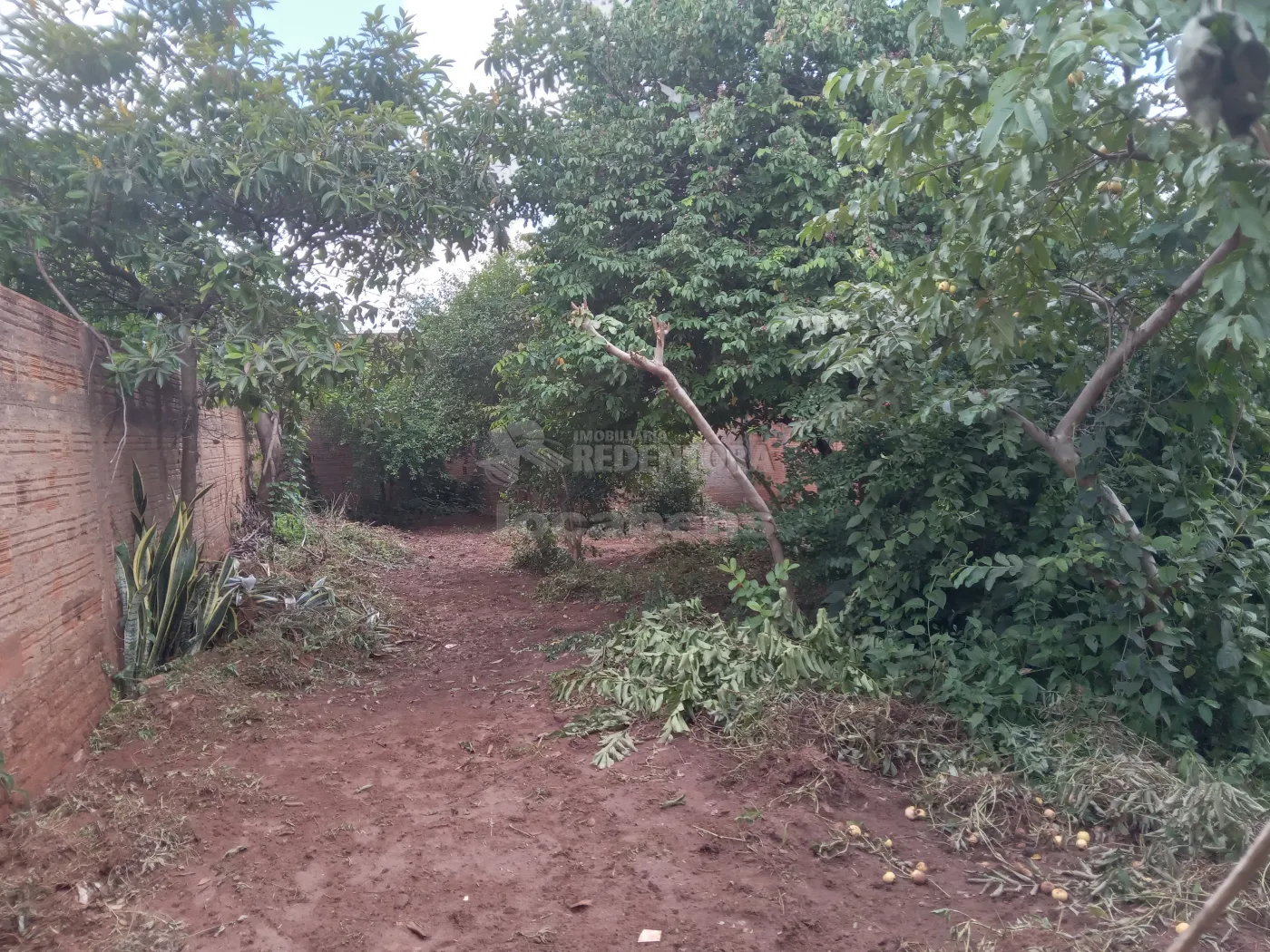 Comprar Terreno / Padrão em São José do Rio Preto apenas R$ 95.000,00 - Foto 4