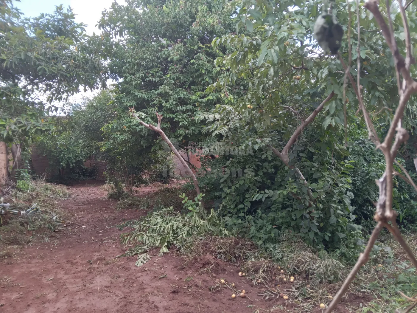 Comprar Terreno / Padrão em São José do Rio Preto R$ 95.000,00 - Foto 5