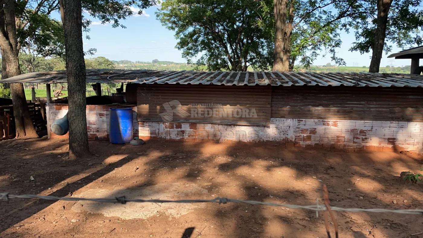 Comprar Rural / Sítio em Mirassol R$ 1.390.000,00 - Foto 13