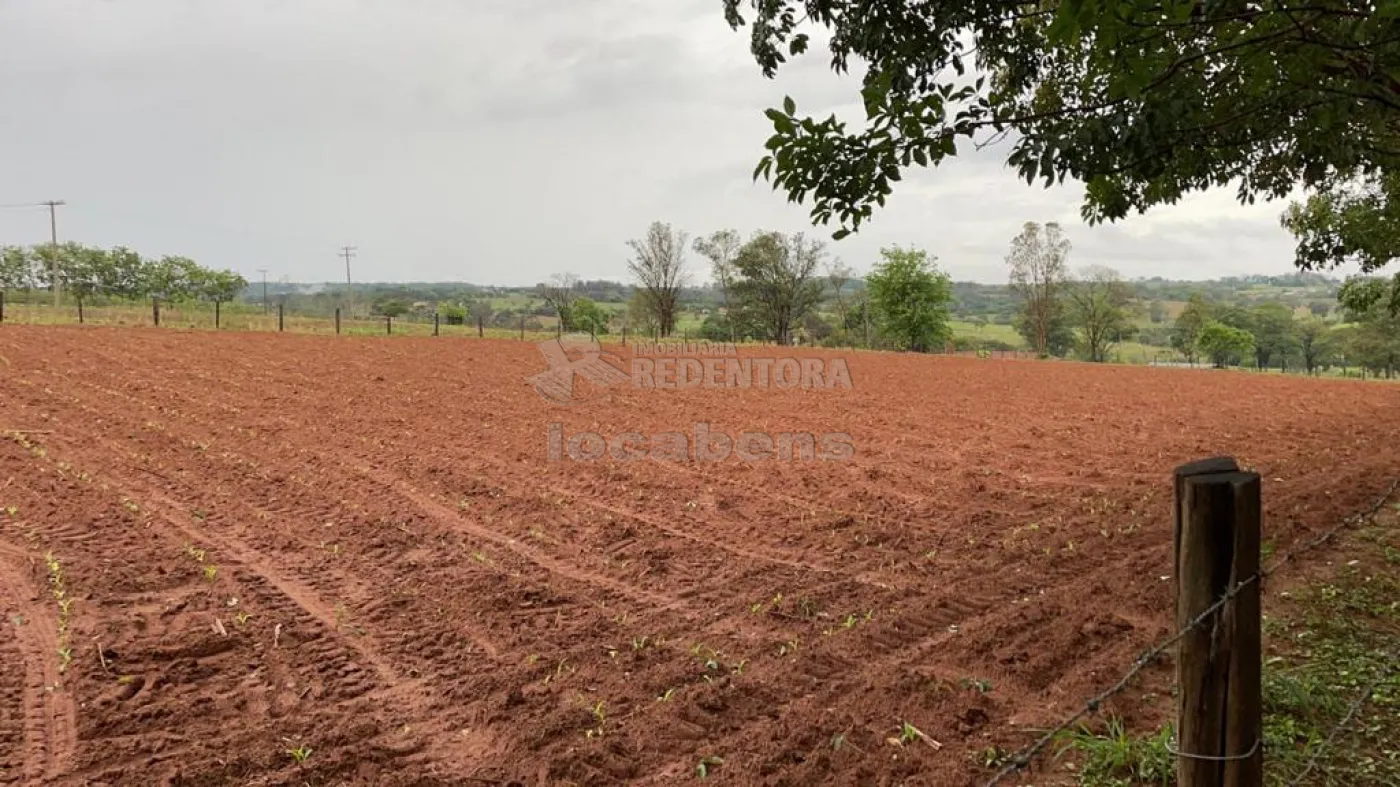 Comprar Rural / Sítio em Mirassol R$ 1.390.000,00 - Foto 3