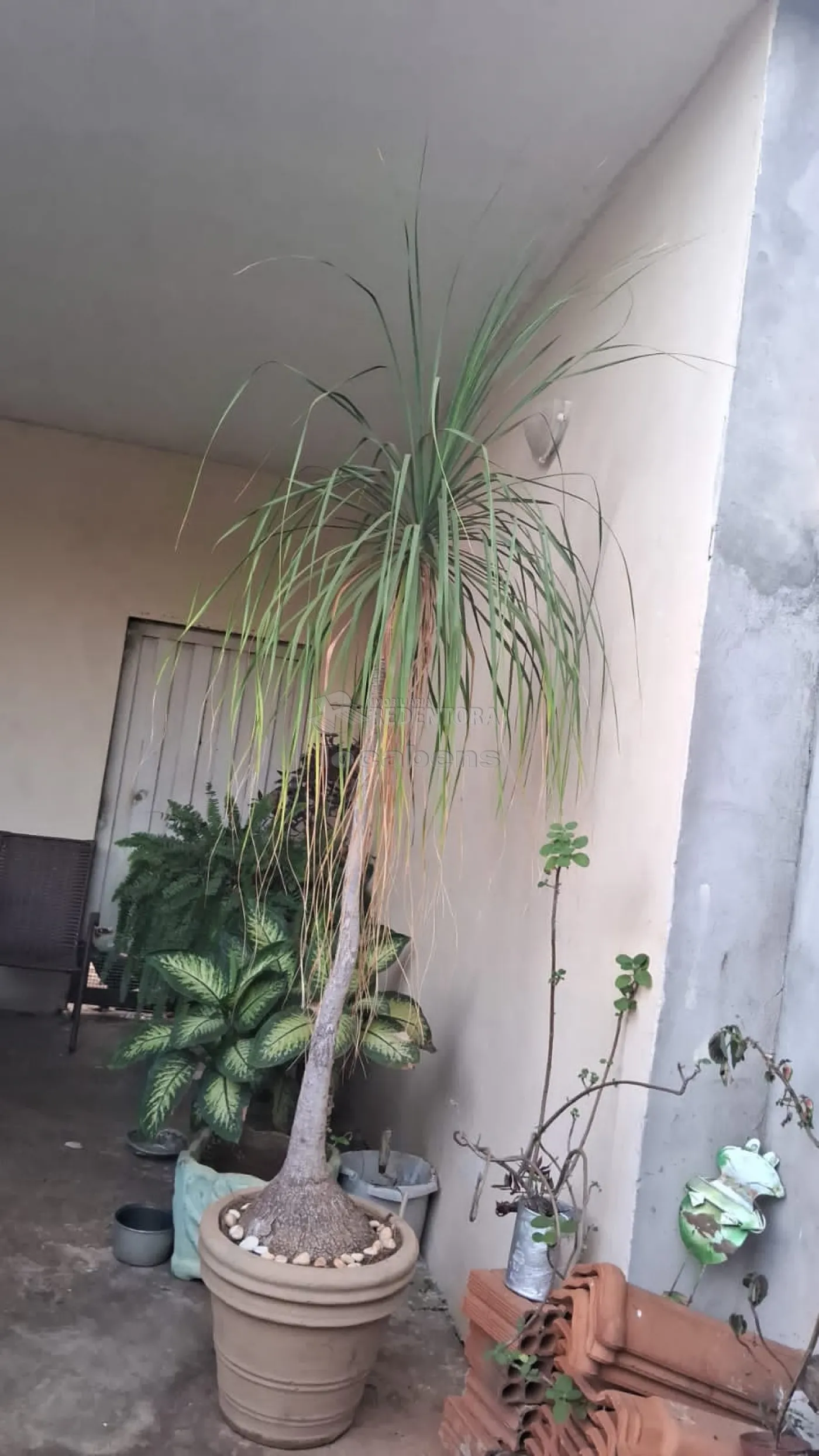 Comprar Casa / Padrão em Bady Bassitt apenas R$ 200.000,00 - Foto 11