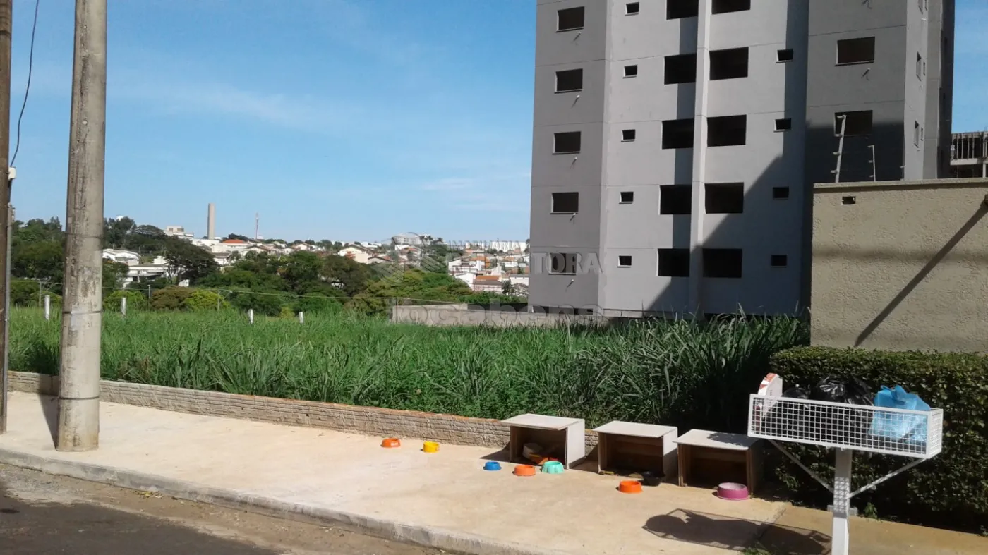 Comprar Terreno / Área em São José do Rio Preto R$ 1.800.000,00 - Foto 7