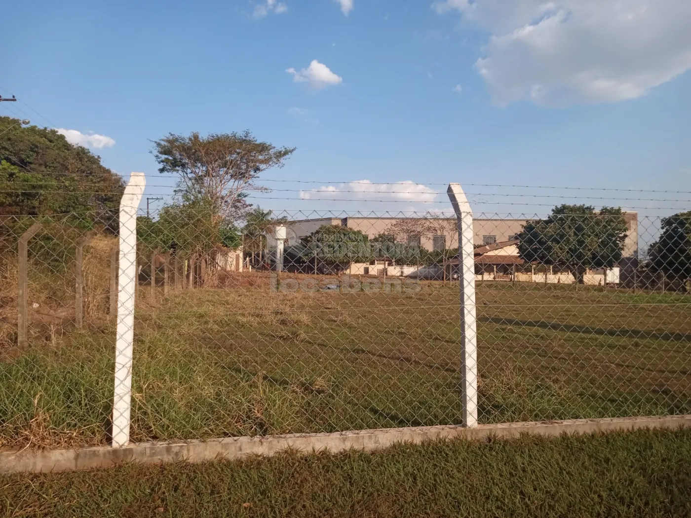 Comprar Terreno / Área em São José do Rio Preto R$ 700.000,00 - Foto 3