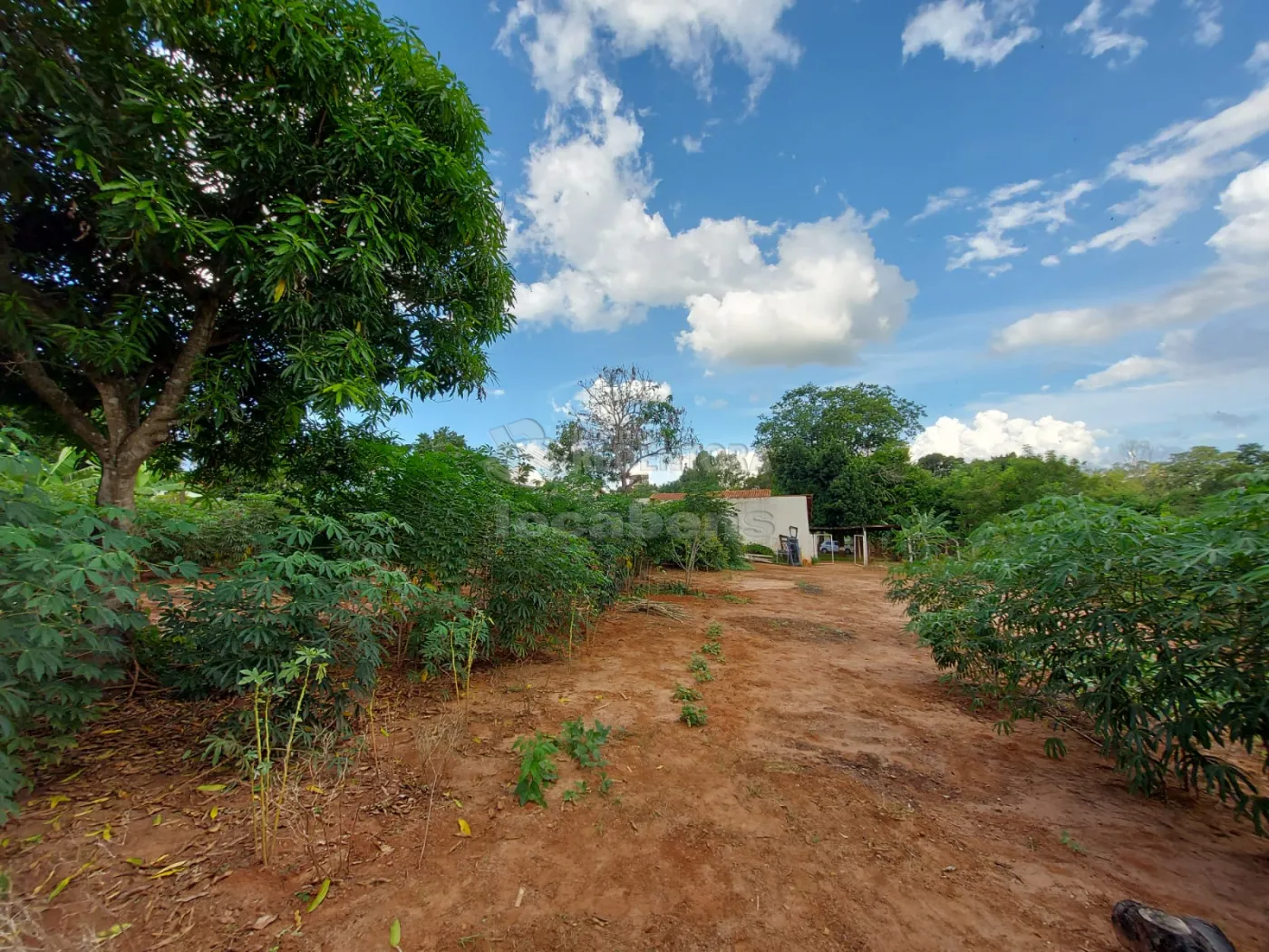 Comprar Rural / Chácara em São José do Rio Preto R$ 1.000.000,00 - Foto 25