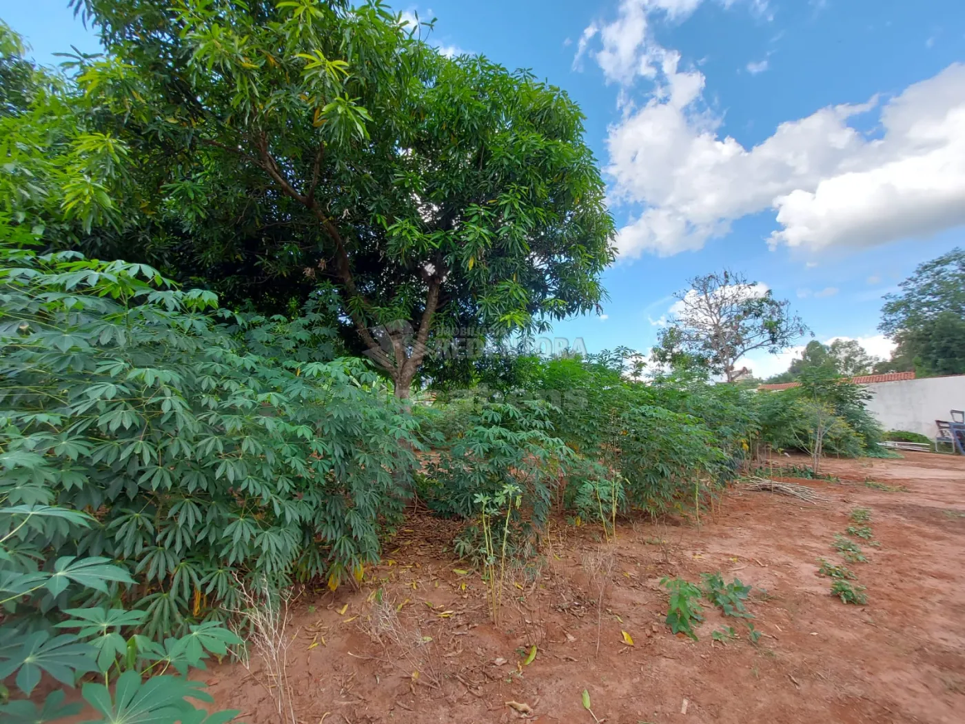 Comprar Rural / Chácara em São José do Rio Preto R$ 1.000.000,00 - Foto 26