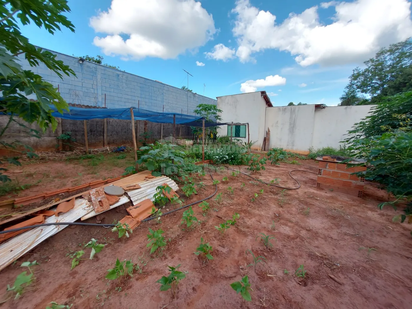 Comprar Rural / Chácara em São José do Rio Preto R$ 1.000.000,00 - Foto 28