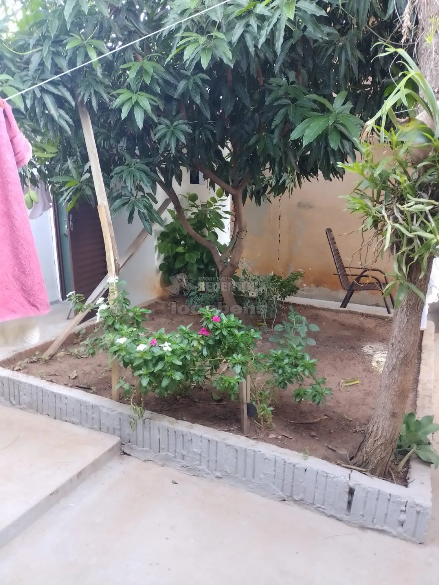 Comprar Casa / Padrão em Mirassol apenas R$ 240.000,00 - Foto 13