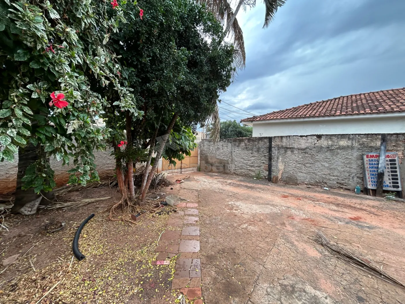 Comprar Casa / Padrão em São José do Rio Preto apenas R$ 300.000,00 - Foto 5