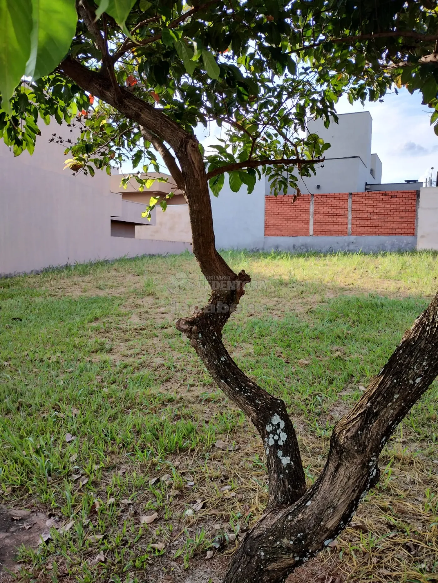 Comprar Terreno / Condomínio em São José do Rio Preto apenas R$ 150.000,00 - Foto 2