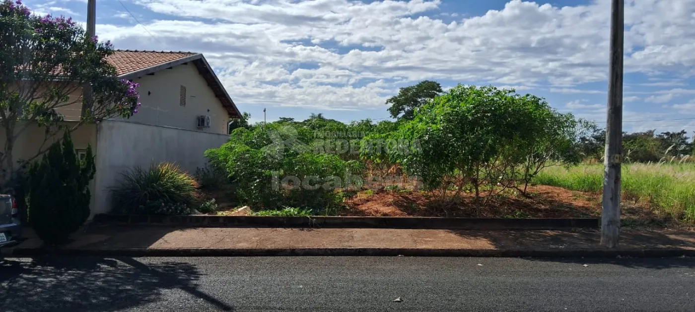 Comprar Terreno / Padrão em São José do Rio Preto R$ 80.000,00 - Foto 3