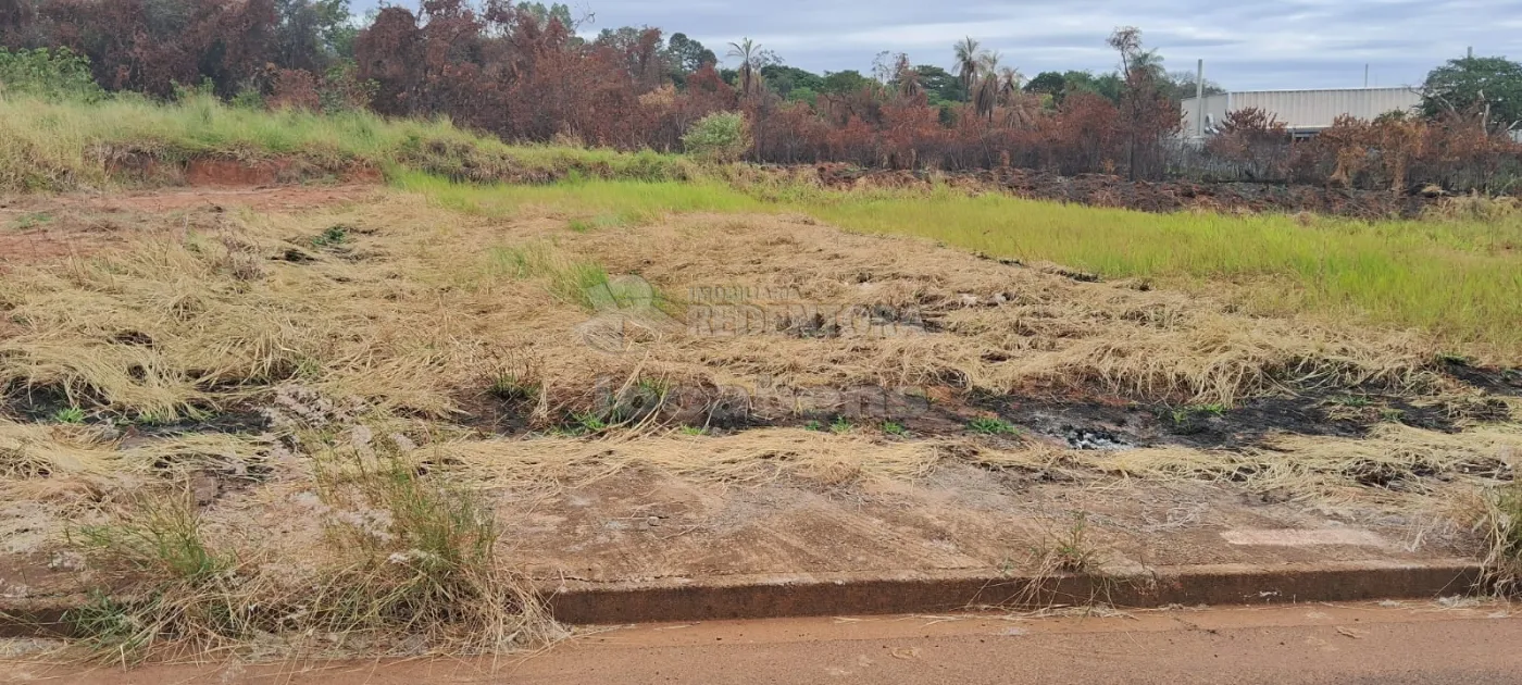 Comprar Terreno / Padrão em São José do Rio Preto R$ 134.400,00 - Foto 2