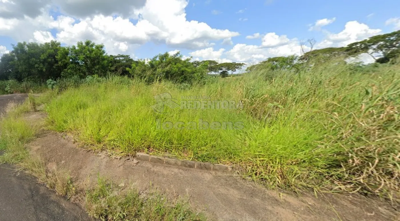 Comprar Terreno / Padrão em São José do Rio Preto R$ 91.500,00 - Foto 1