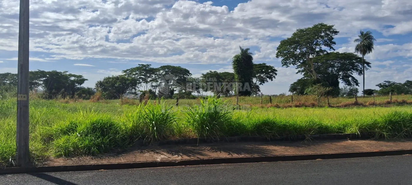 Comprar Terreno / Padrão em São José do Rio Preto apenas R$ 82.500,00 - Foto 1