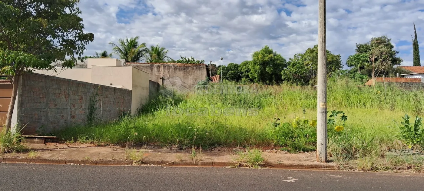 Comprar Terreno / Padrão em São José do Rio Preto R$ 86.500,00 - Foto 1