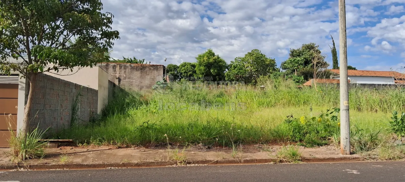 Comprar Terreno / Padrão em São José do Rio Preto R$ 86.500,00 - Foto 2