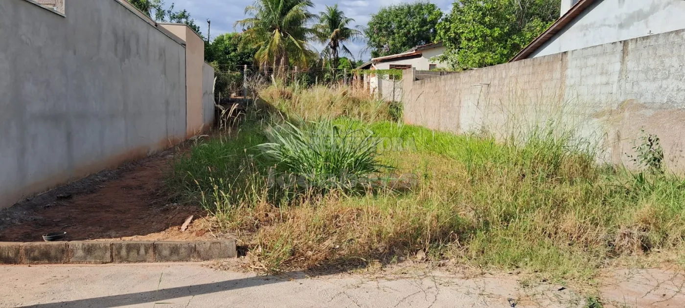 Comprar Terreno / Padrão em São José do Rio Preto R$ 89.000,00 - Foto 1