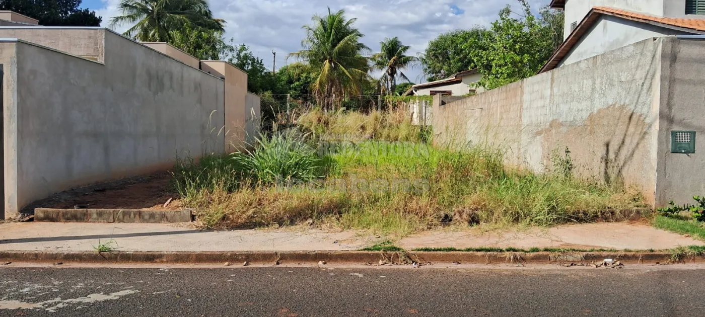 Comprar Terreno / Padrão em São José do Rio Preto R$ 89.000,00 - Foto 3