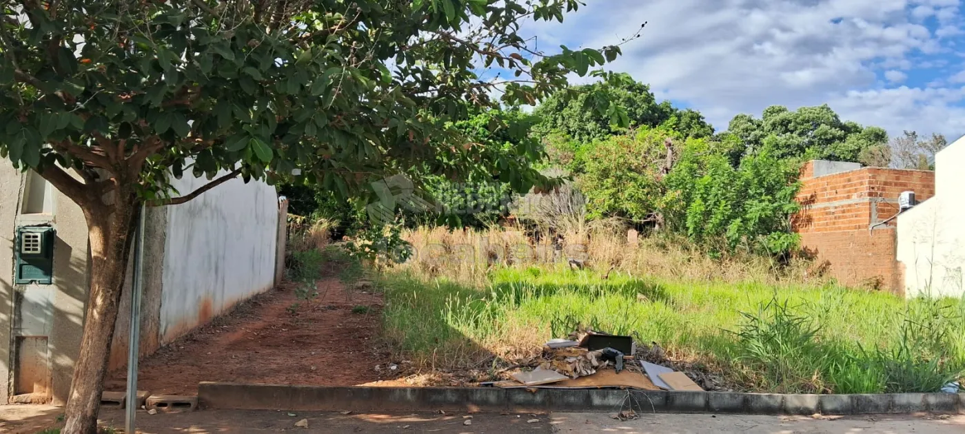 Comprar Terreno / Padrão em São José do Rio Preto apenas R$ 90.000,00 - Foto 3