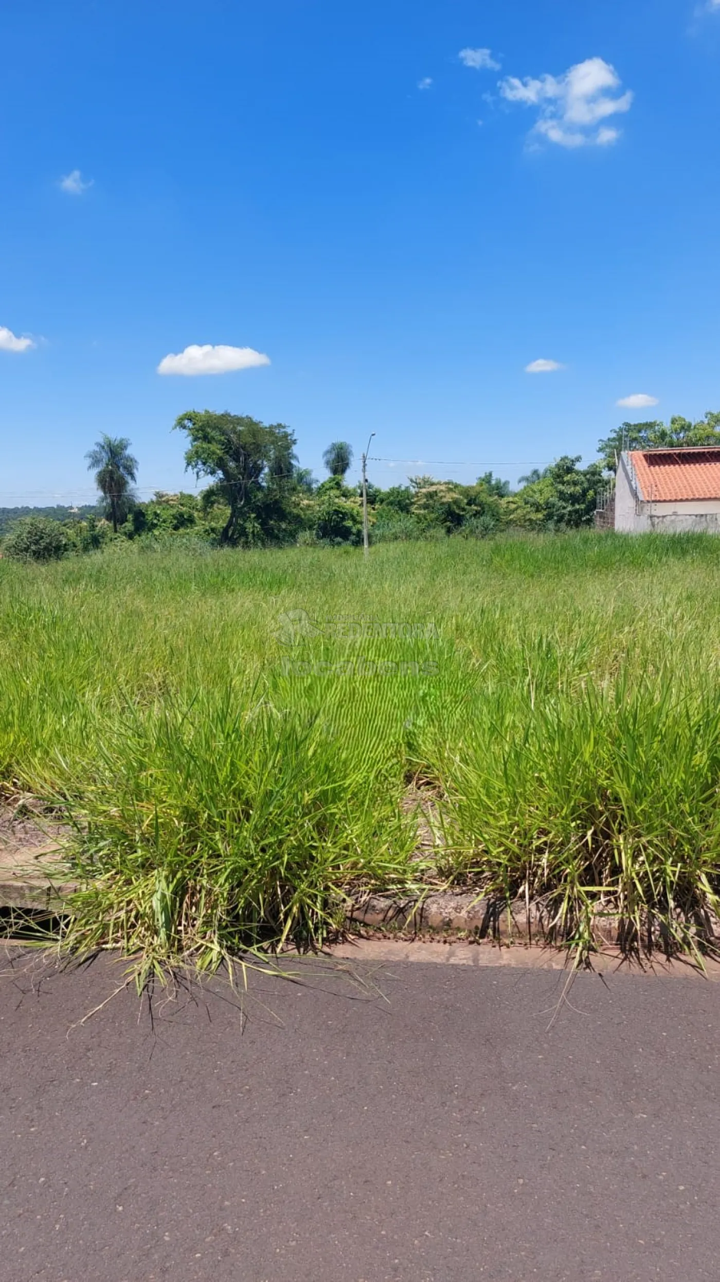 Comprar Terreno / Padrão em São José do Rio Preto R$ 110.000,00 - Foto 1