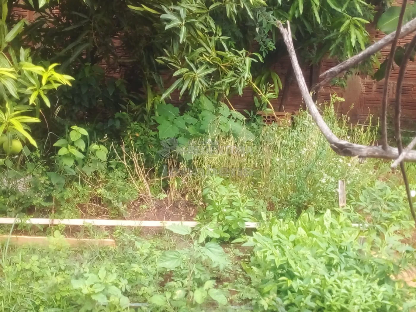 Chácara à venda com 3 quartos, 100m² - Foto 15
