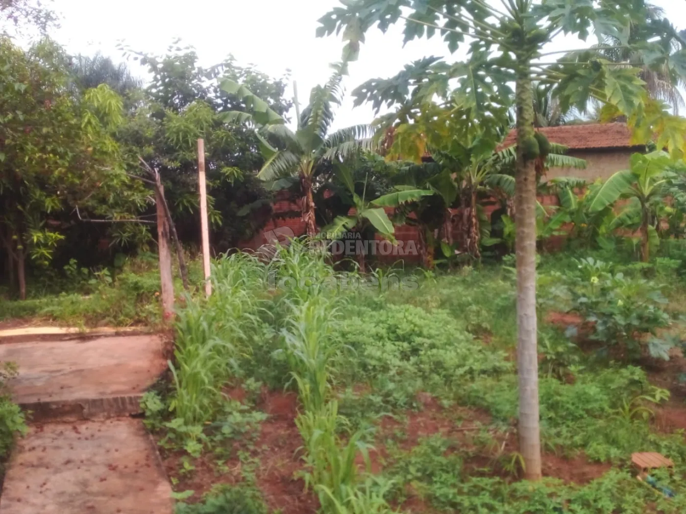 Chácara à venda com 3 quartos, 100m² - Foto 17