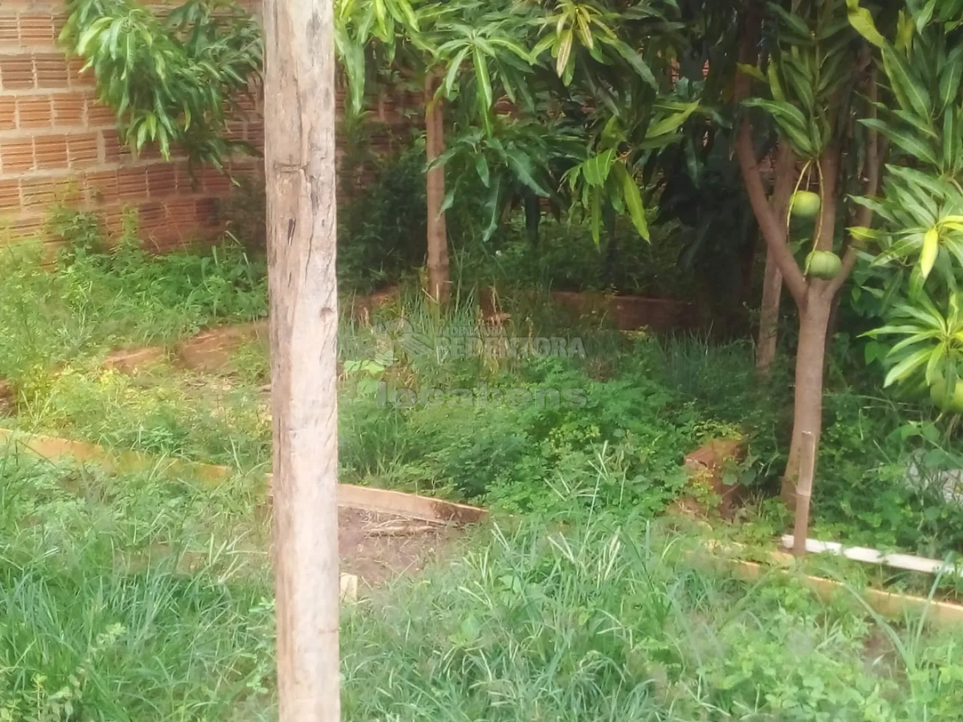 Chácara à venda com 3 quartos, 100m² - Foto 18