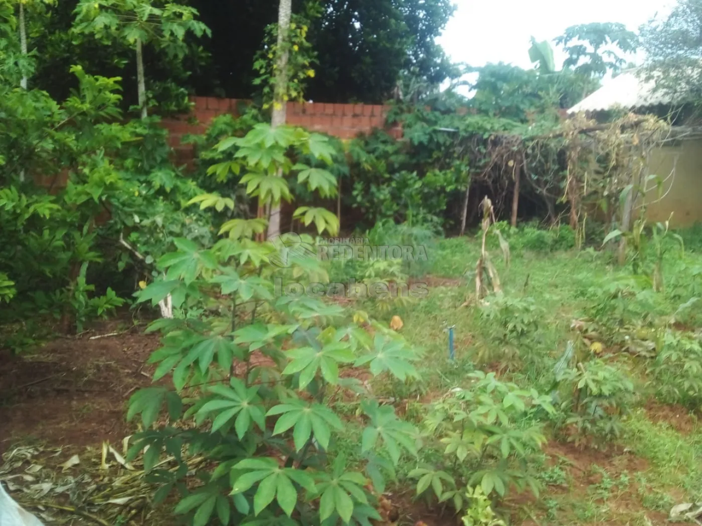 Chácara à venda com 3 quartos, 100m² - Foto 19