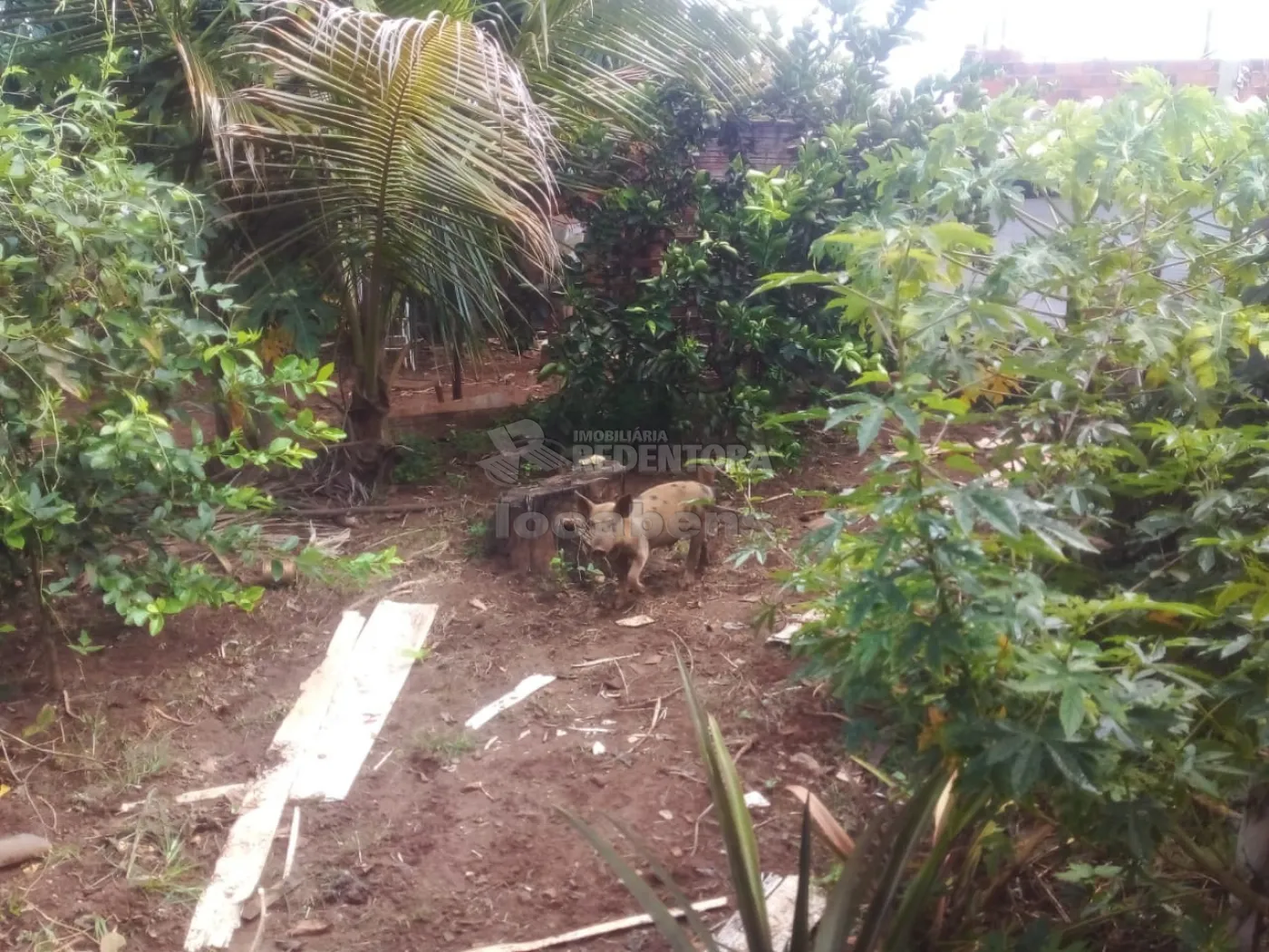 Chácara à venda com 3 quartos, 100m² - Foto 21