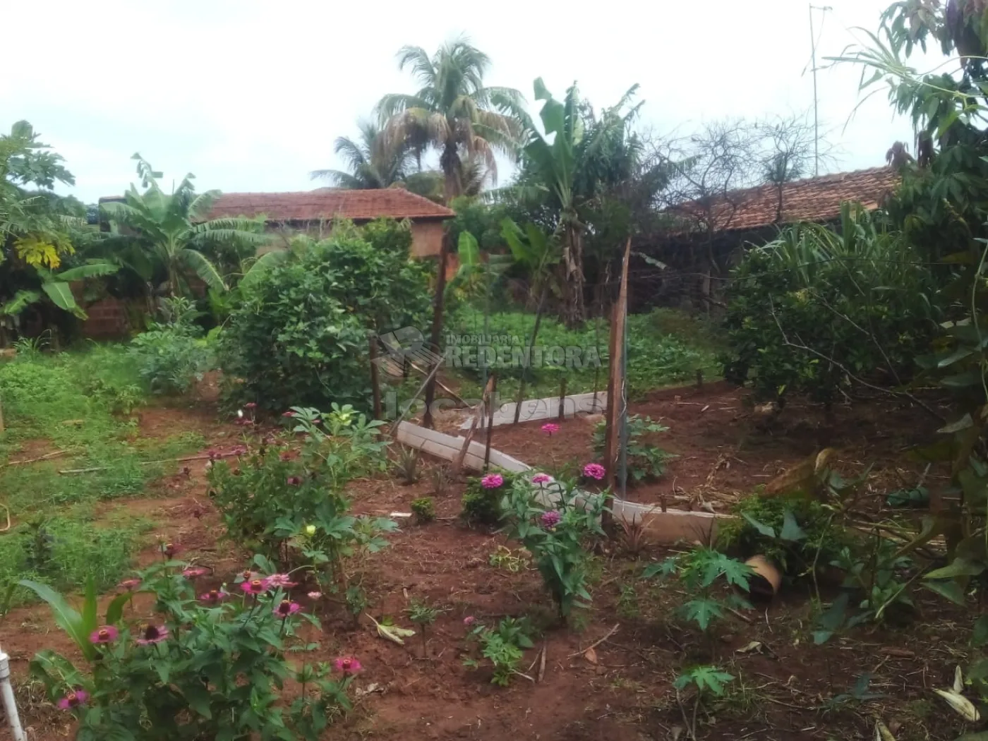 Chácara à venda com 3 quartos, 100m² - Foto 23
