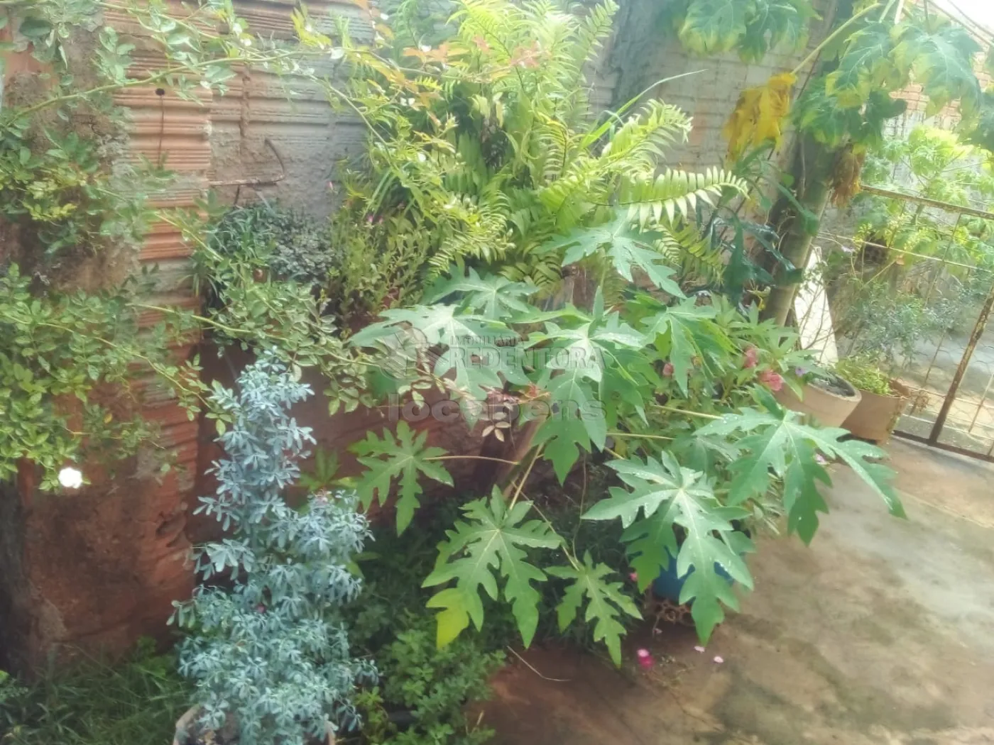 Chácara à venda com 3 quartos, 100m² - Foto 24
