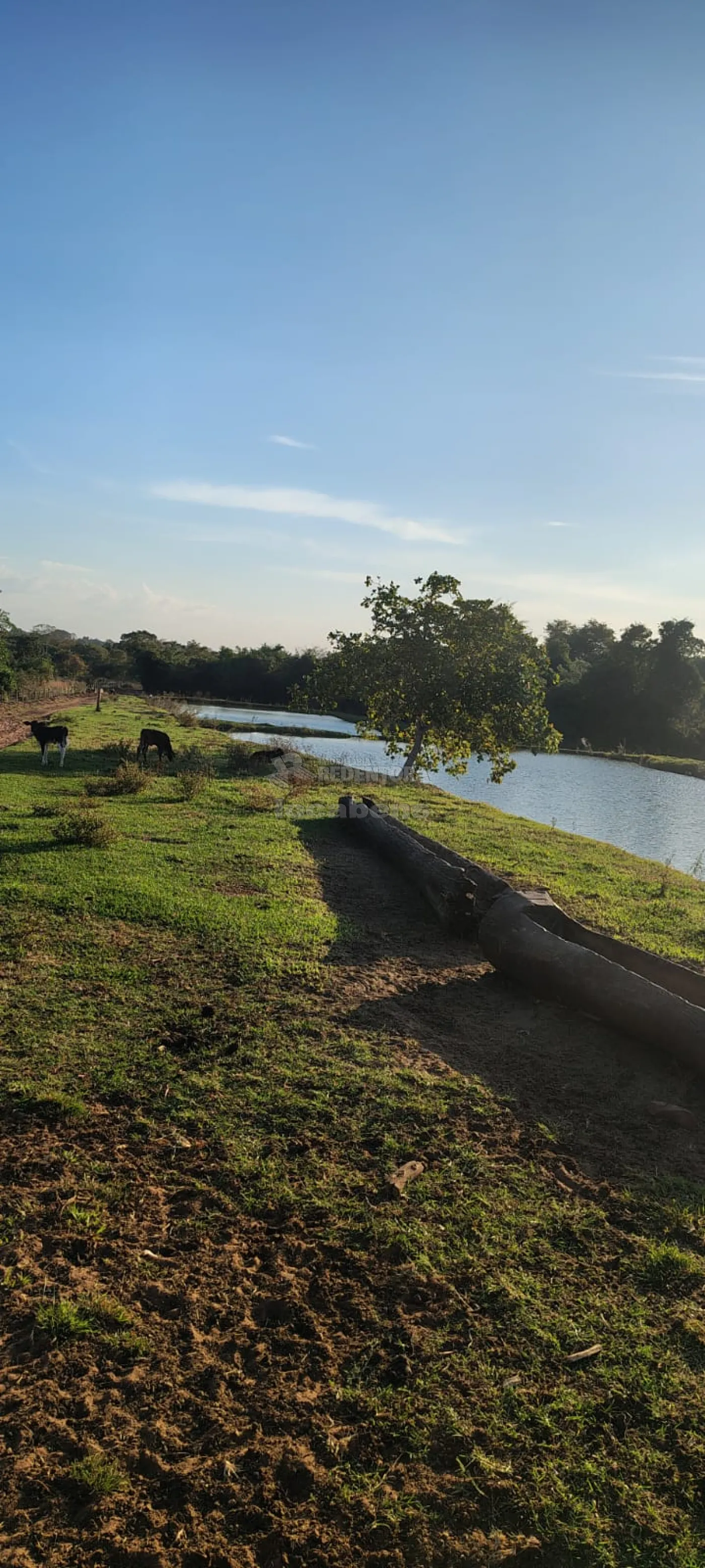 Fazenda à venda, 960000m² - Foto 1