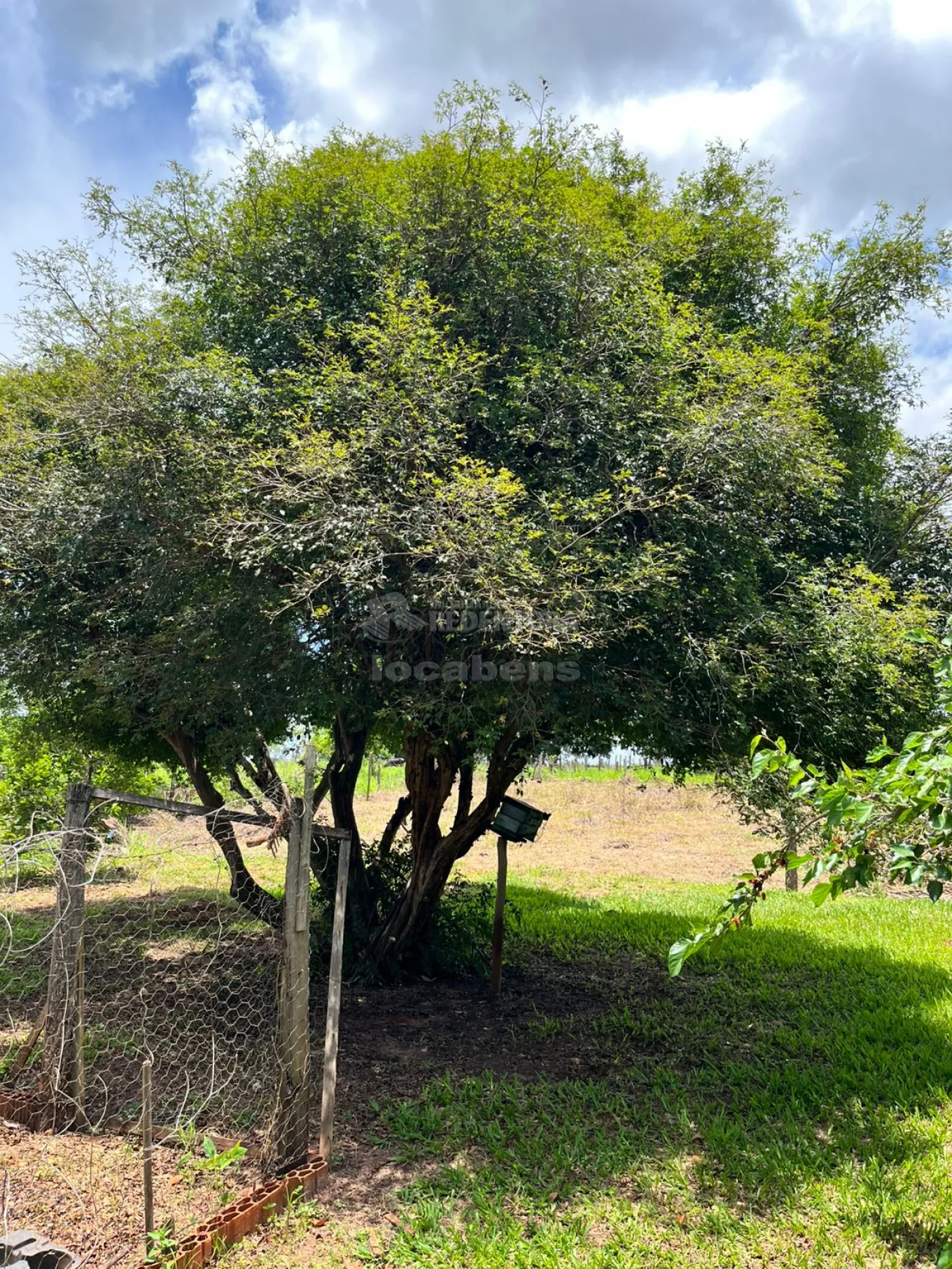 Chácara à venda, 36300m² - Foto 5