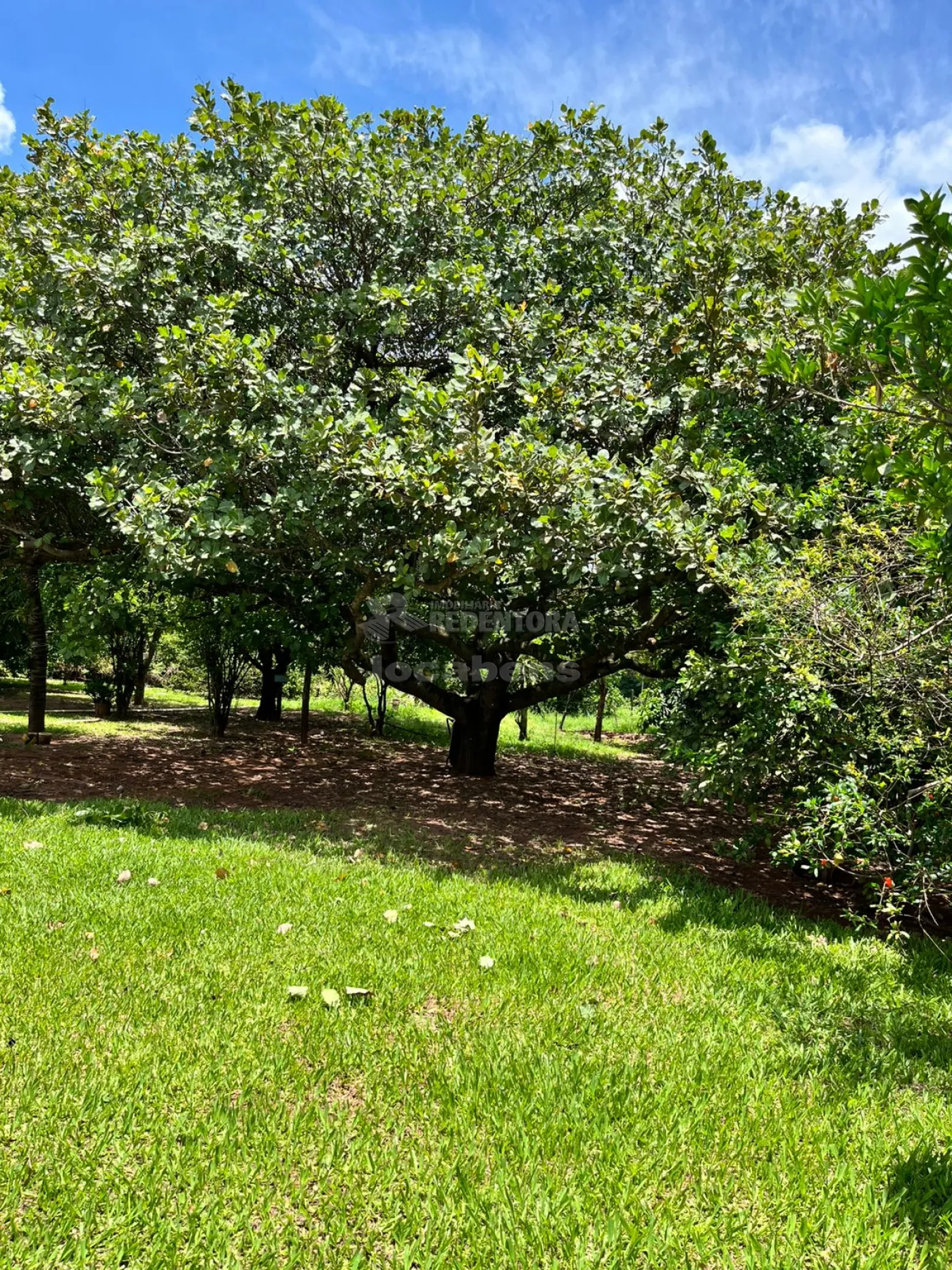 Chácara à venda, 36300m² - Foto 24