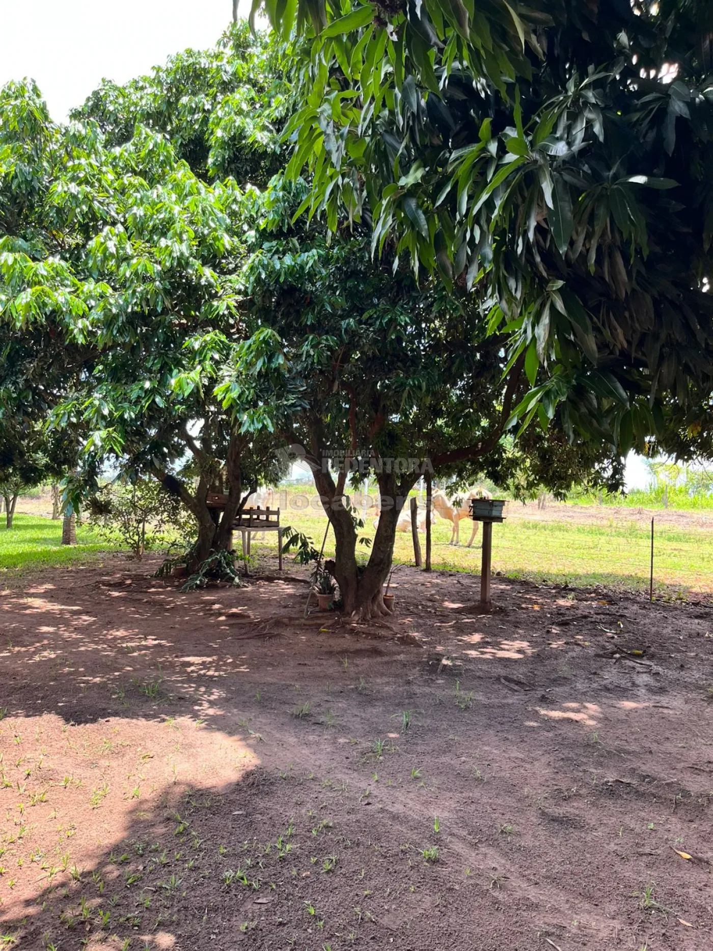 Chácara à venda, 36300m² - Foto 28