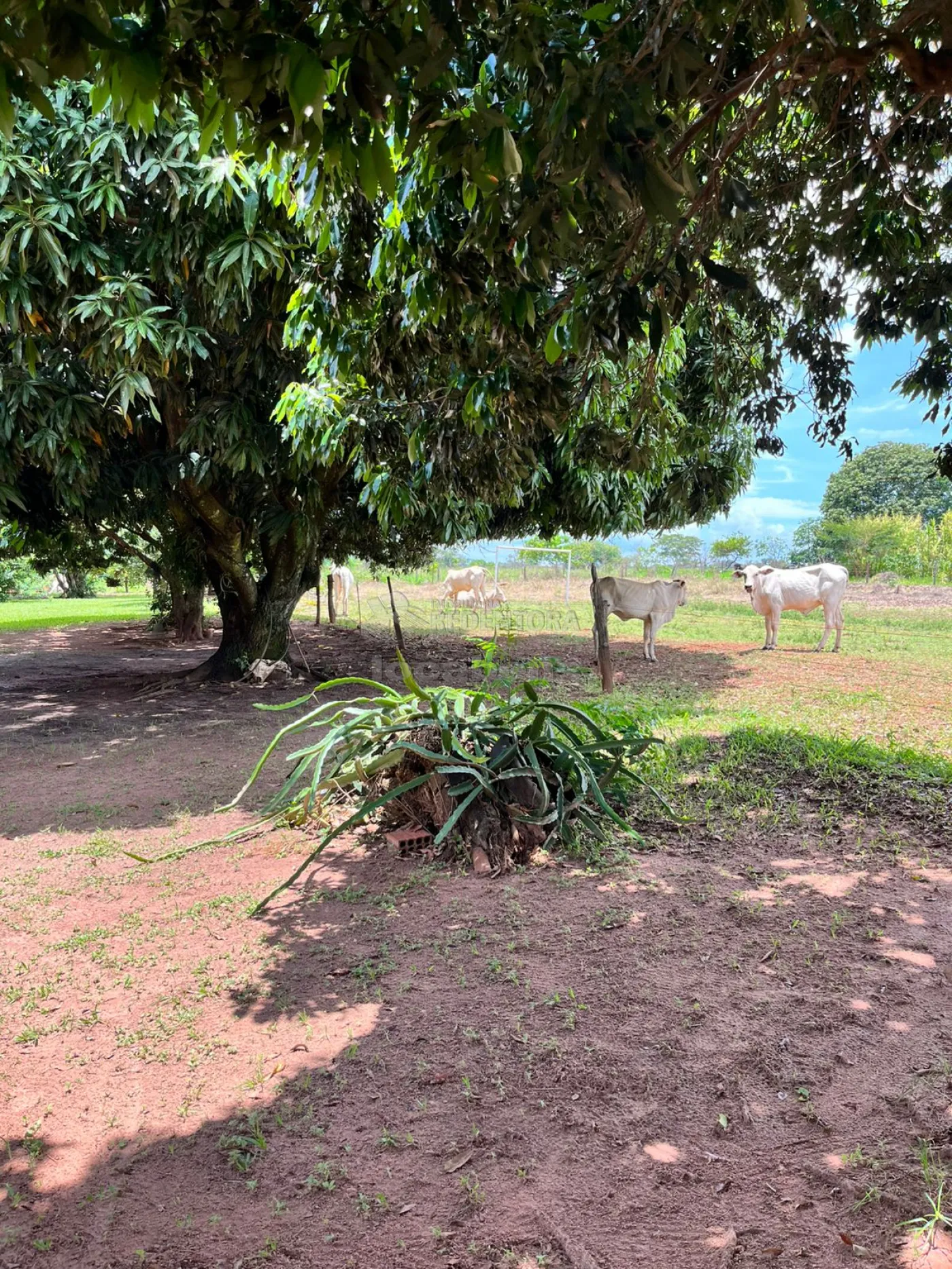 Chácara à venda, 36300m² - Foto 35