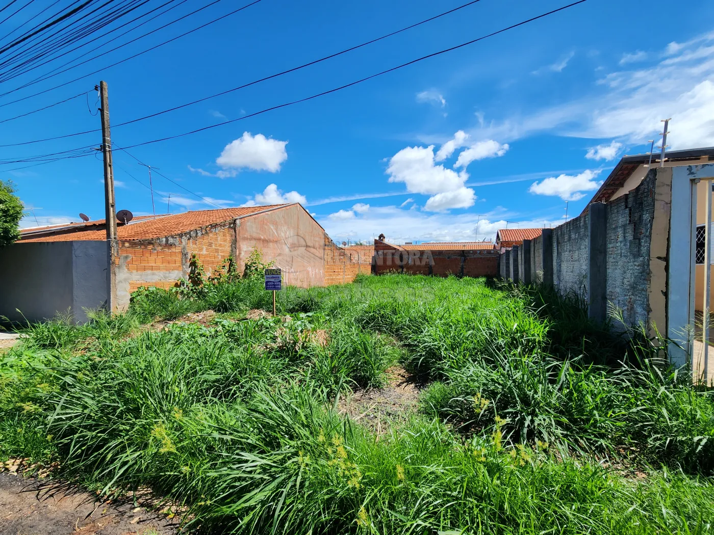 Comprar Terreno / Padrão em São José do Rio Preto apenas R$ 95.000,00 - Foto 2