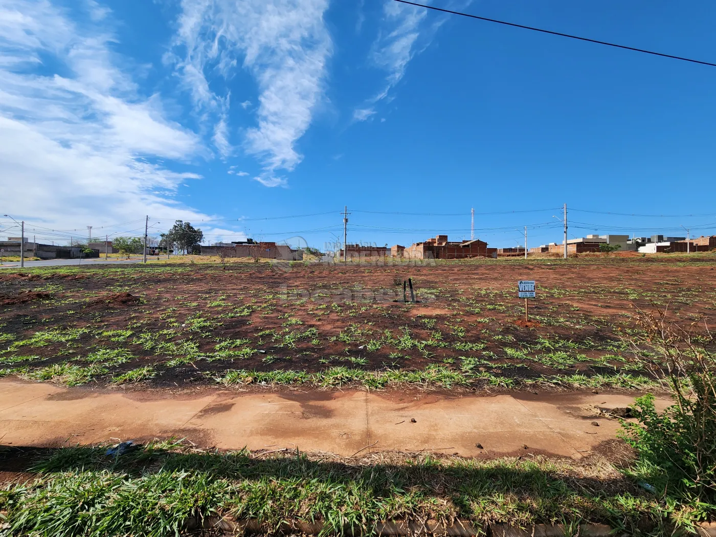 Comprar Terreno / Padrão em São José do Rio Preto R$ 179.000,00 - Foto 4