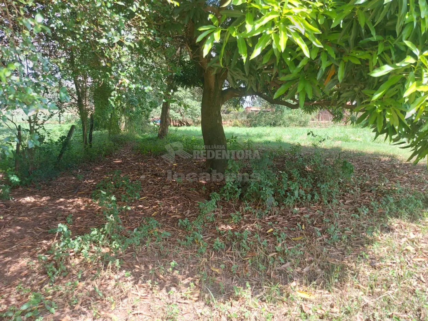 Loteamento e Condomínio à venda, 1505m² - Foto 6